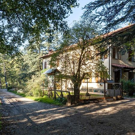 Rifugio Asqua Βίλα Poppi Εξωτερικό φωτογραφία